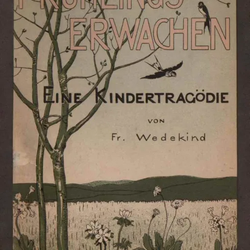 Adolescencia y psicoanálisis Portada del libro El Despertar de la Primavera de Frank Wedekind