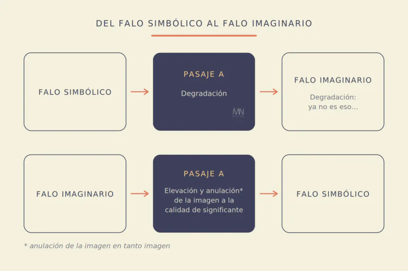 El falo: significante, significación y significancia